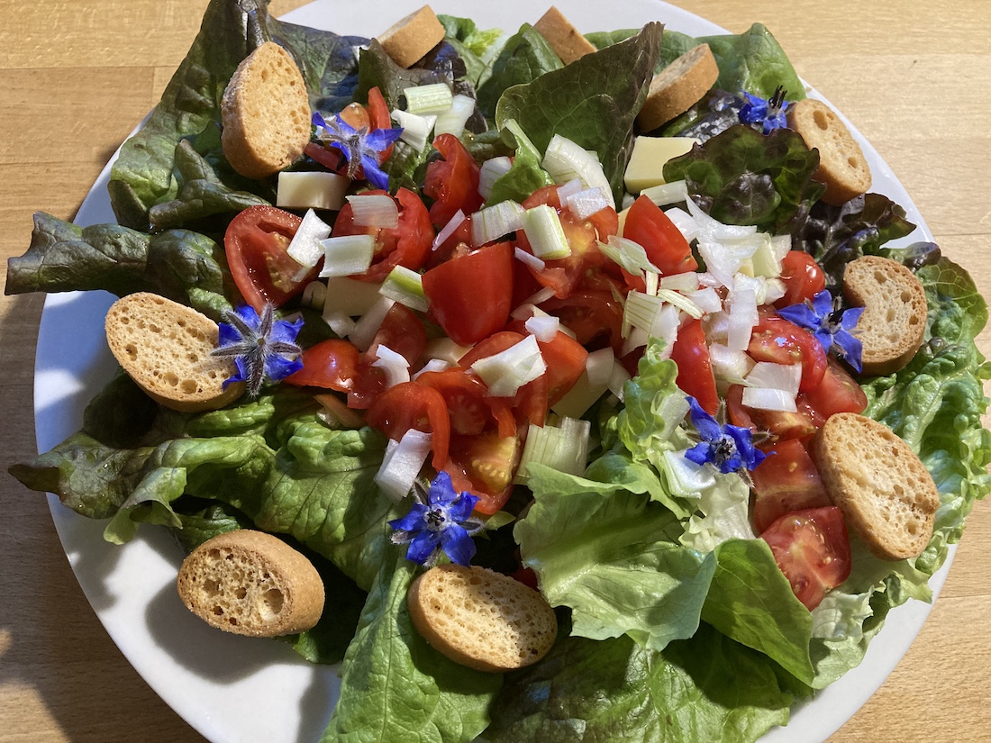 avec fleurs et croutons